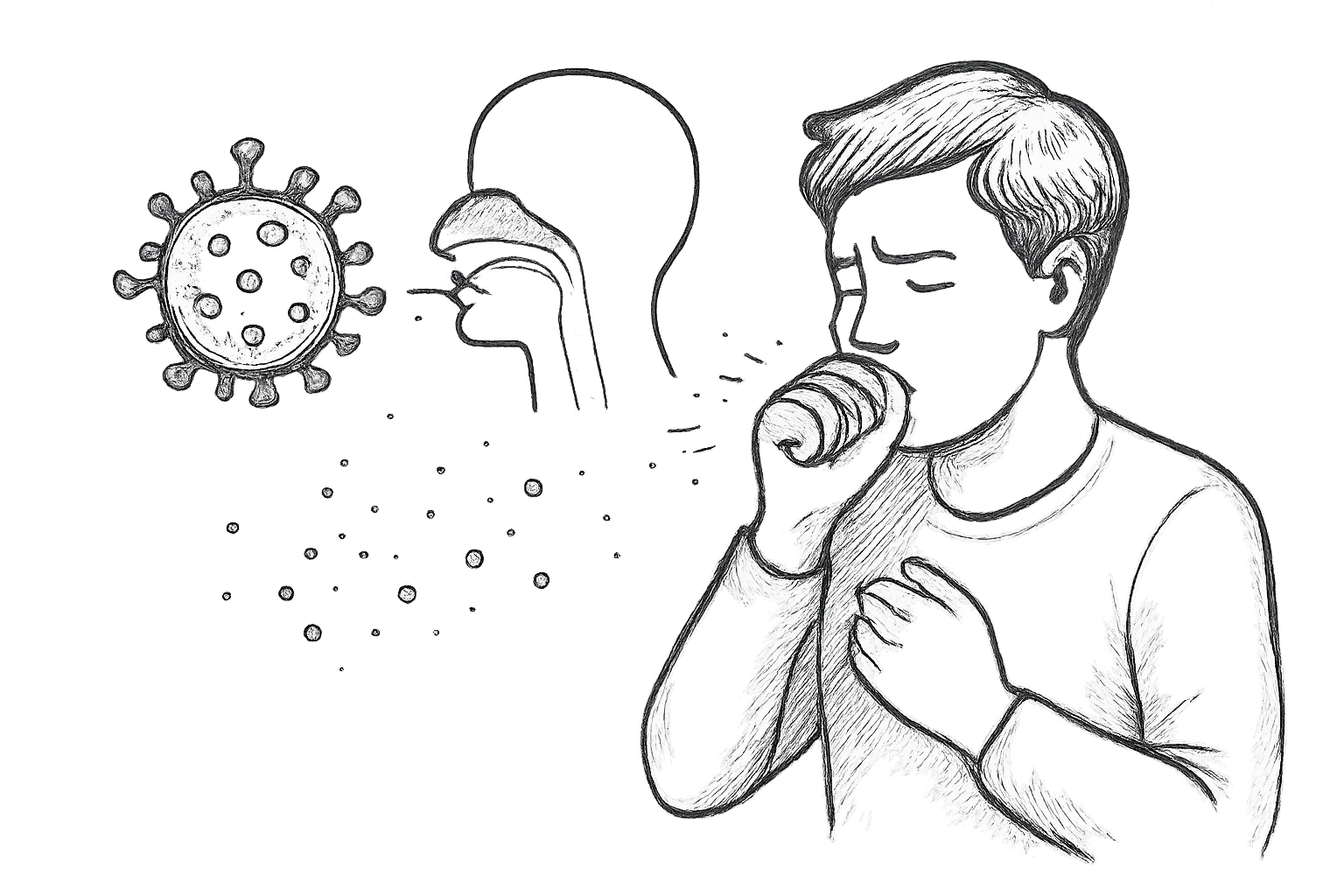 faire une couleur sur meche blonde